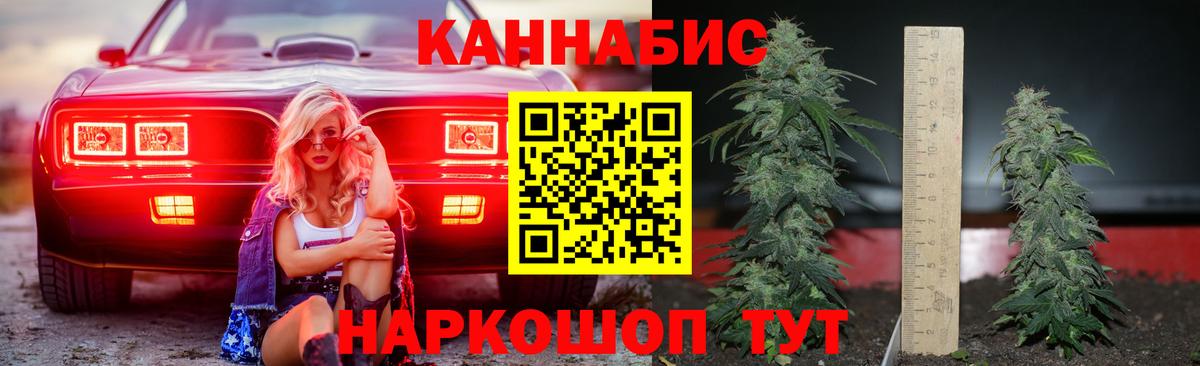 Бошки марихуана индика Кингисепп